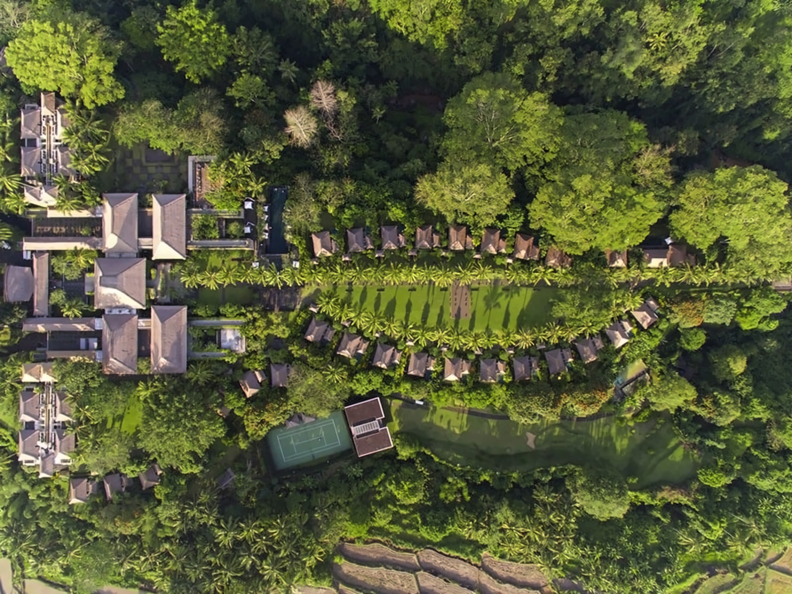 Maya Ubud Ubudas Indonezija (Balis) nuotrauka, kaina su kelionių ...