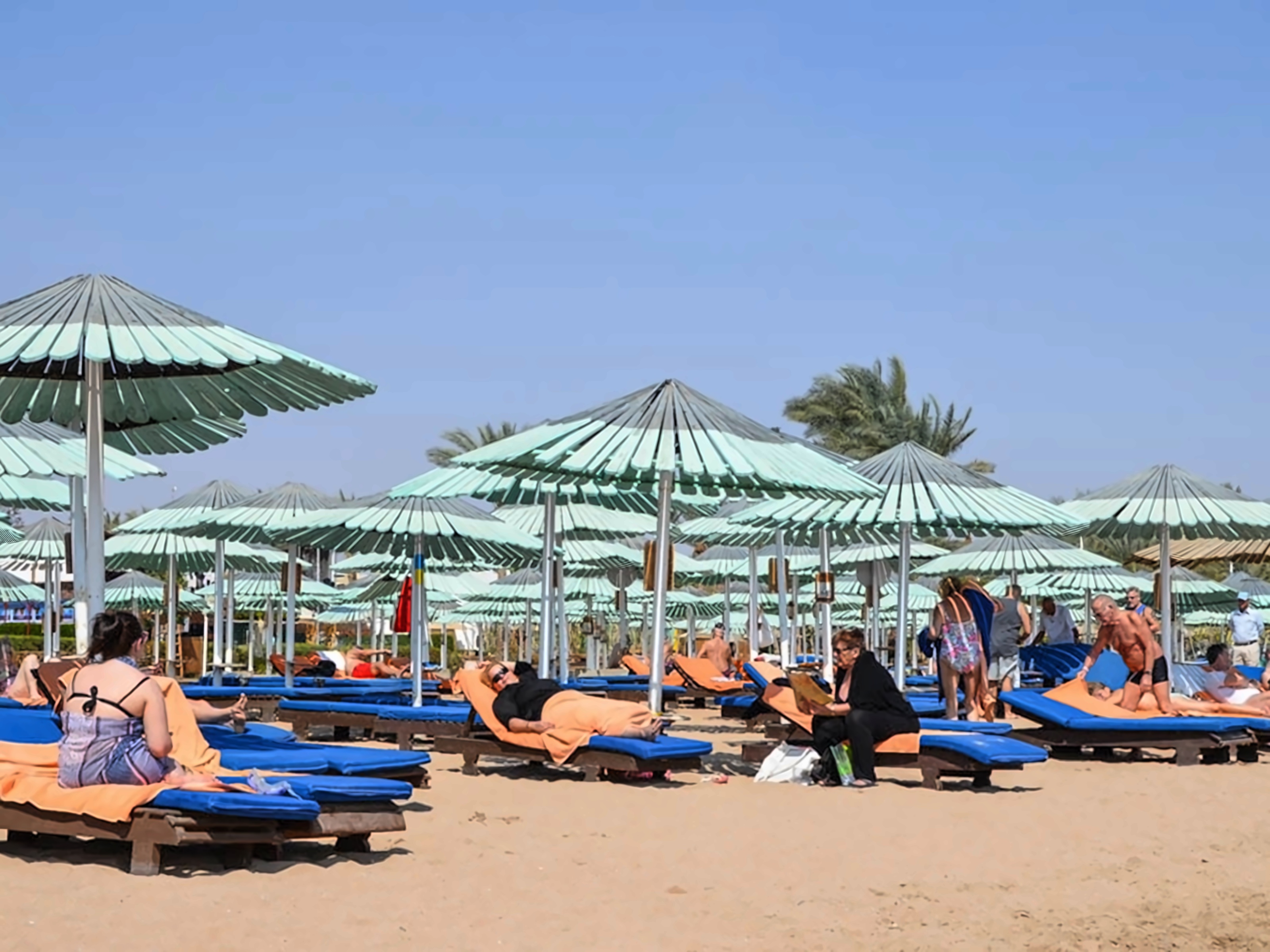 Ghazala beach шарм эль шейх hotel 4