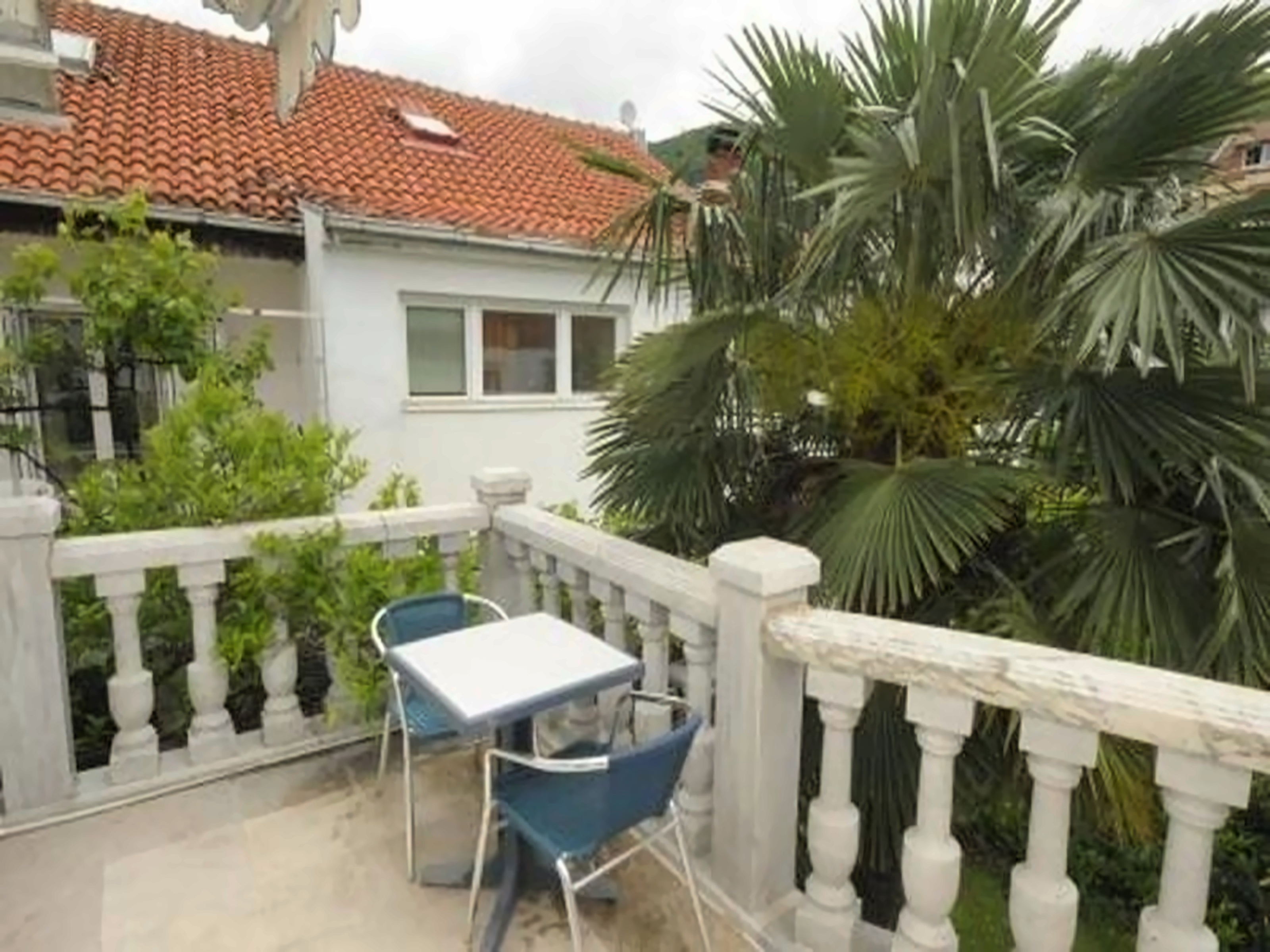 Kralj s villa 3 будва. Petrova 3. Petrova 3. Petrova 3. Petrova 3.